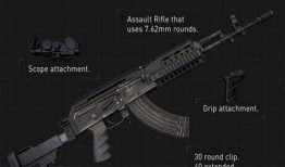 和平精英枪最新爆料,神秘性能引发热议，玩家期待度飙升